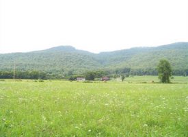 40+/-acres Beautiful Property On Sweetens Cove Road
