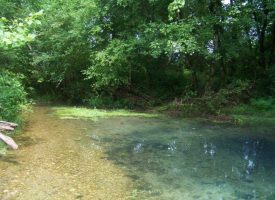 40+/-acres Beautiful Property On Sweetens Cove Road