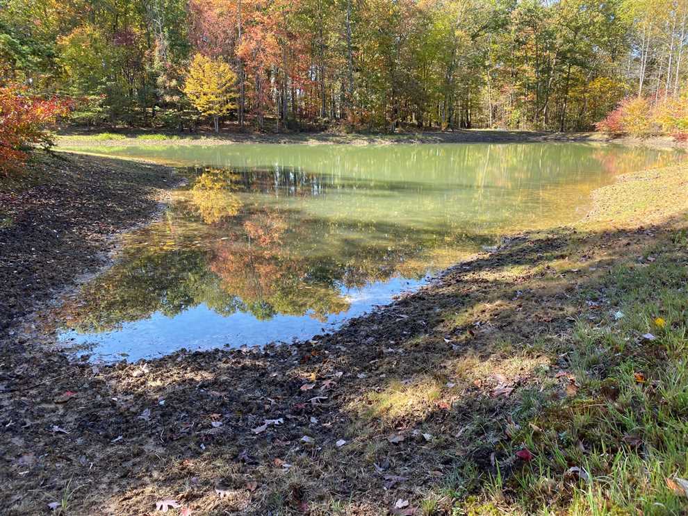 27.1+/acres of nice usable land with Lake Mossy Oak Properties, Land