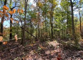 2.98+/-acres wooded bluff tract with breath taking views of the Tennessee Mountains