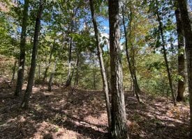 2.98+/-acres wooded bluff tract with breath taking views of the Tennessee Mountains