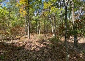 2.85+/-acres wooded bluff tract with breath taking views of the Tennessee Mountains.