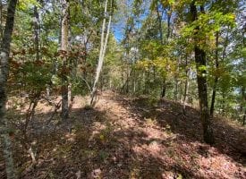 2.85+/-acres wooded bluff tract with breath taking views of the Tennessee Mountains.