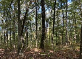 5.58+/-acres wooded bluff tract with breath taking views of the Tennessee Mountains