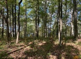 3.75+/-acres wooded bluff tract with breath taking views of the Tennessee Mountains.