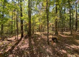 3.75+/-acres wooded bluff tract with breath taking views of the Tennessee Mountains.