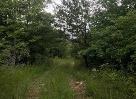 41.00+/–acres!! Unrestricted property perfect place to build, camp or just to get-a-way from it all.