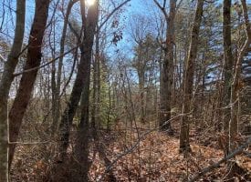 39+/-acres unrestricted usable property