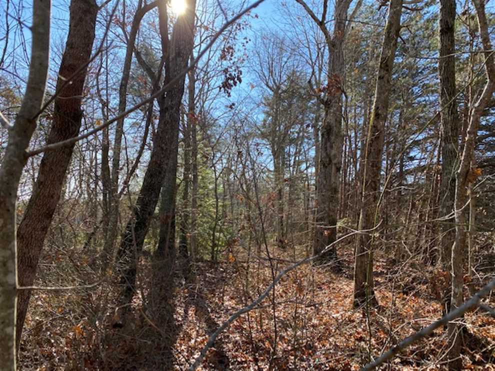 39+/acres unrestricted usable property Mossy Oak Properties, Land
