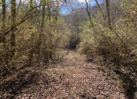 .68+/-acre lot with Creek