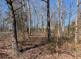 1.00+/-acre unrestricted wooded property