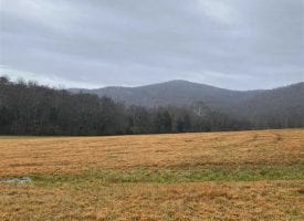 550+/-acres Unrestricted Perfect Mixture of Pasture, Hardwoods, and beautiful Mountain Views