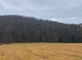 550+/-acres Unrestricted Perfect Mixture of Pasture, Hardwoods, and beautiful Mountain Views