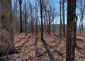 2.74+/-acres with Pristine View Over looking Pelham Valley