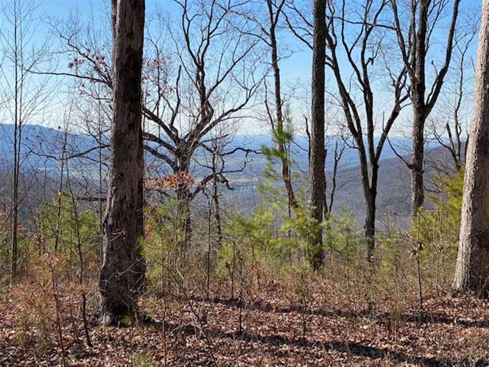 2.74+/acres with Pristine View Over looking Pelham Valley Mossy Oak