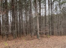 19+/-acres located on top of the beautiful South Pittsburg Mountain