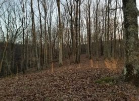 12+/-acres. Incredible bluff views.