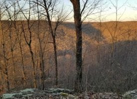 12+/-acres. Incredible bluff views.