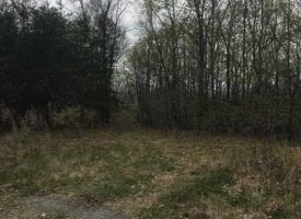 3.5+/-acres Beautiful Wooded Bluff property with a view overlooking Sweetens Cove