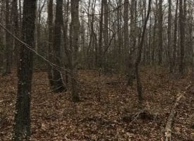 10+/-acres unresricted. All usable property