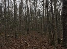 10+/-acres unresricted. All usable property
