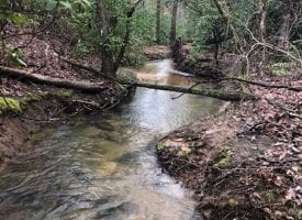 Beautiful 55.00+/-acres unrestricted property located on the Cumberland Plateau.