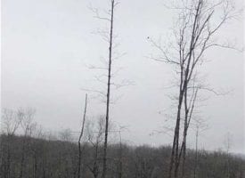 Beautiful 55.00+/-acres unrestricted property located on the Cumberland Plateau.