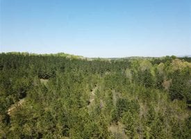 32.65+/-acres mostly cleared property that is private and secluded yet close and conveniant to the City of Cleveland and Chattanooga
