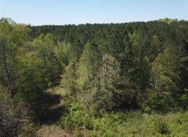 32.65+/-acres mostly cleared property that is private and secluded yet close and conveniant to the City of Cleveland and Chattanooga