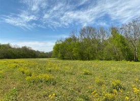 97+/- acres in beautiful Warren County has over 3500 feet of frontage on two creeks.