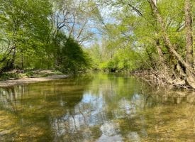 97+/- acres in beautiful Warren County has over 3500 feet of frontage on two creeks.