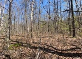 27+/- acres of nice wooded property located on the Cumberland Plateau