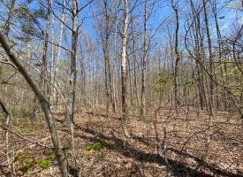 27+/- acres of nice wooded property located on the Cumberland Plateau