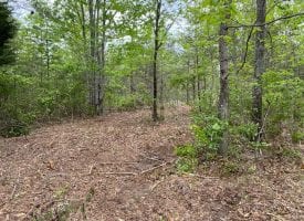 5.02+/-acres wooded property near Franklin State Forest