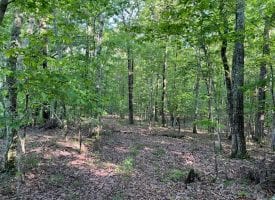 20.52+/-acres with Beautiful Mountain Views