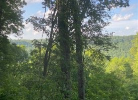 20.52+/-acres with Beautiful Mountain Views