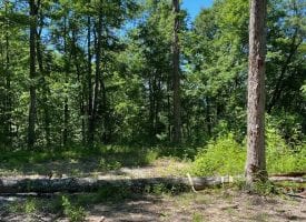20.63+/-acres with beautiful scenic views of the Tennessee mountains.