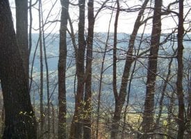 52.54+/-acres located on top of the beautiful South Pittsburg Mountain.