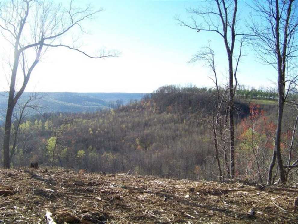 52.54+/acres located on top of the beautiful South Pittsburg Mountain