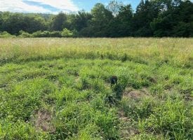 54+/-acres Prime Agricultural property ready to plant crops.