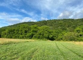 54+/-acres Prime Agricultural property ready to plant crops.