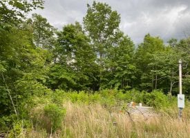5.00+/-acres Nice Wooded Tract with a Well.