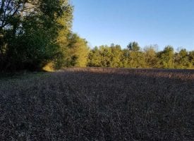53.52+/-acres Mixture of farm land and wooded hunting land bordering over 1000 feet of the Sequatchie River.