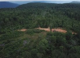 67+/-acres off the grid. Perfect for hunting, camping, or getting away from it all.