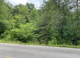 4.3+/-acres Unrestricted wooded property that has a small creek on the property.
