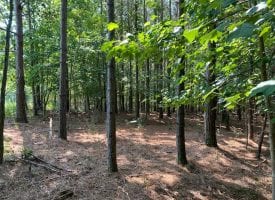 4.3+/-acres Unrestricted wooded property that has a small creek on the property.