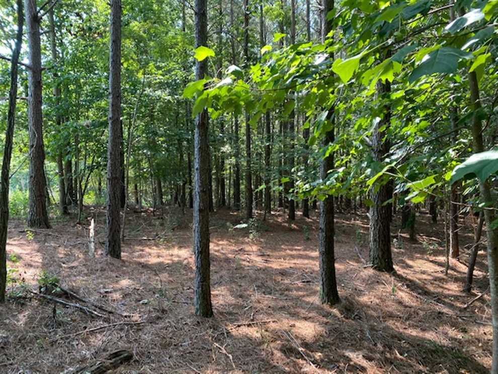 4.3+/acres Unrestricted wooded property that has a small creek on the property. Mossy Oak