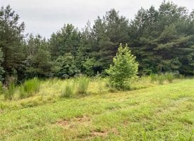 9.5+/-acres in the Beautiful Ridges at Franklin Forest