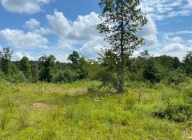 30+/-acres unrestricted. This is a beautiful lot that has a seasonal creek the runs through the property.