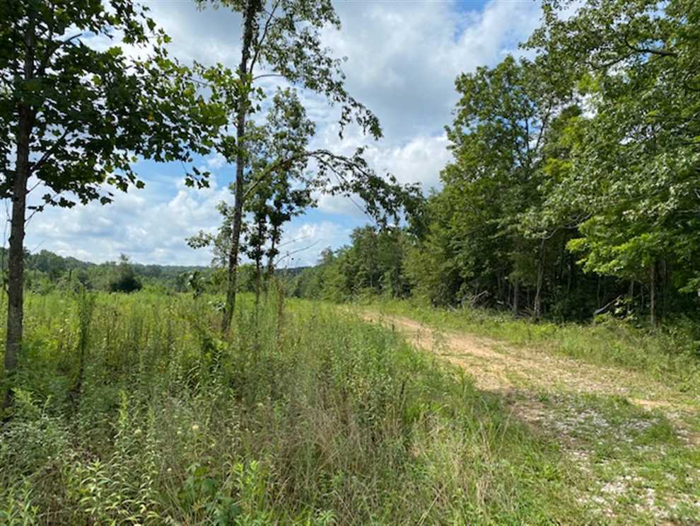 30-acres-unrestricted-this-is-a-beautiful-lot-that-has-a-seasonal